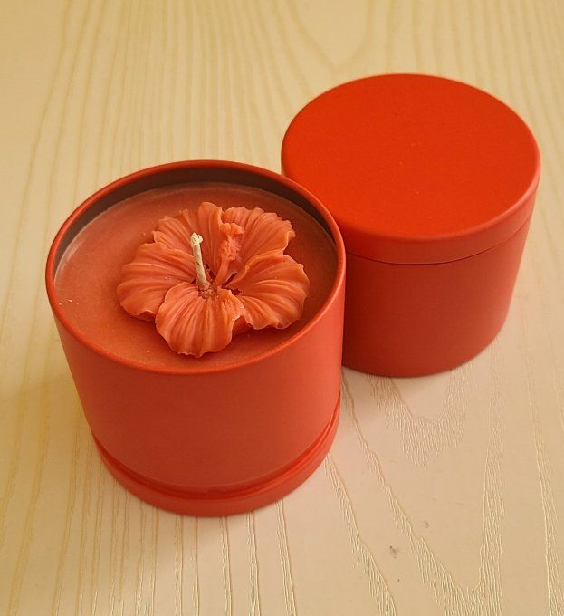 Bougies à la rose en pot 